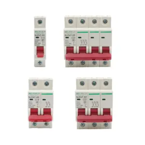 voltage protector C Type Mini Circuit Breaker MCB Short Overload Circuit Protector 35mm Din Rail Mount Breaking Capacity 6KA