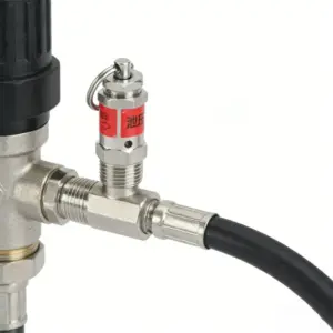 1/8" 1/4" BSPT Male Thread 0.5 1 2 3 4 5 6-10 Bar 304 Stainless Steel Safety Valve Spring Type Pressure Relief Air Release Vent