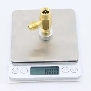 R134a One Way Check Valve for Automotive Air Conditioning Prevents Backflow Compatible with Standard Filling Hoses