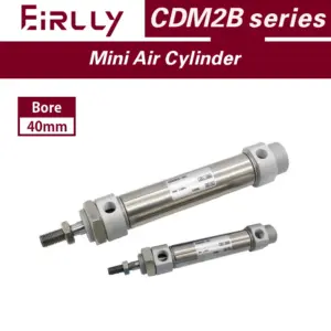CDM2B Bore 40mm stroke 25-300mm Built-in magent Mini Air Cylinder stander type double Acting Single rod