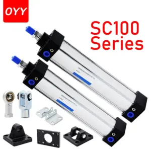 SC100 Air Cylinder Standard Bore 100mm Stroke 25-1000mm Double Acting With Magnetic Aluminium Alloy Pneumatic Cylinders